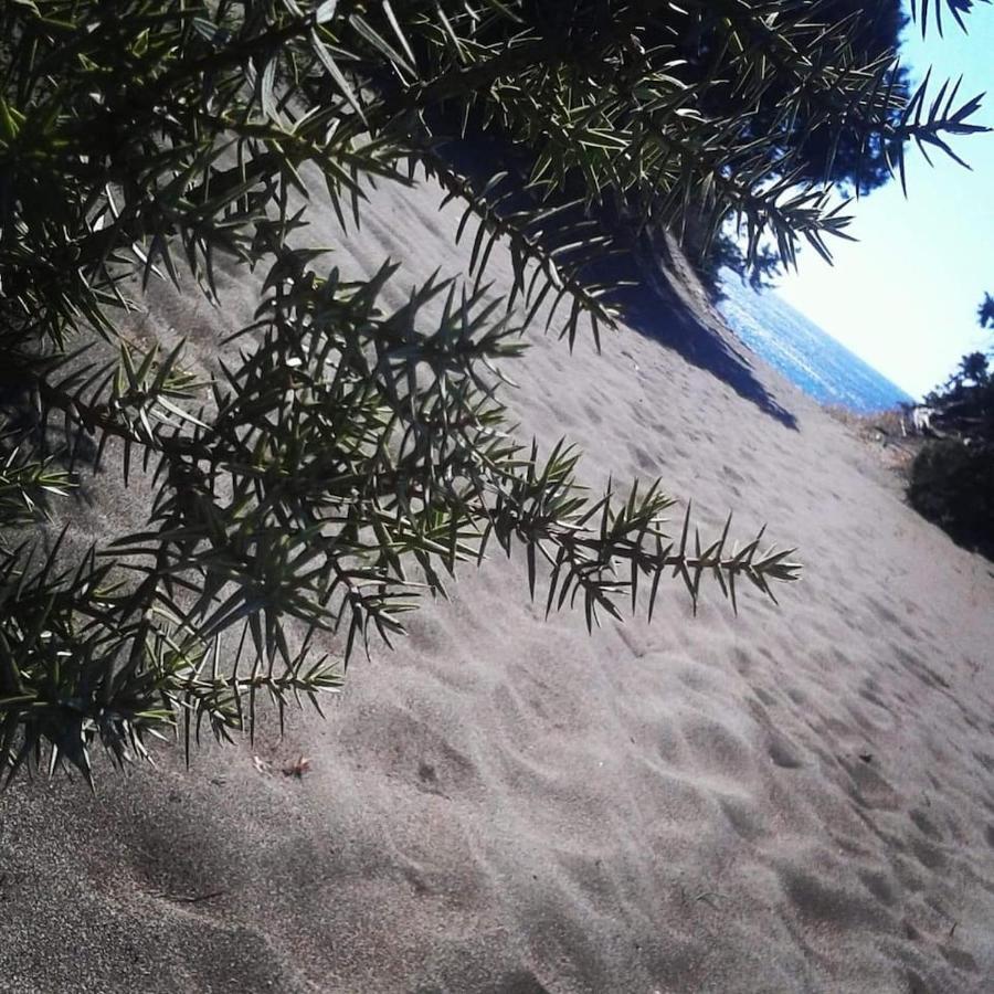 Cedrus And Sea, Beachfront House, Gennadi, Rhodes エクステリア 写真