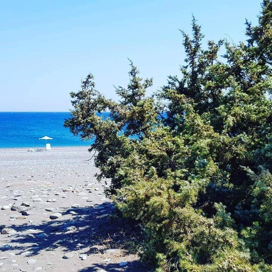 Cedrus And Sea, Beachfront House, Gennadi, Rhodes エクステリア 写真