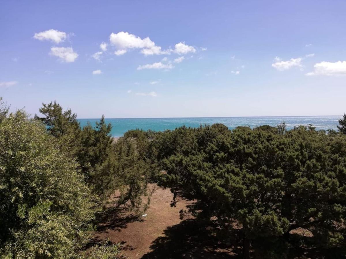 Cedrus And Sea, Beachfront House, Gennadi, Rhodes エクステリア 写真